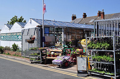 Withernsea Garden Centre